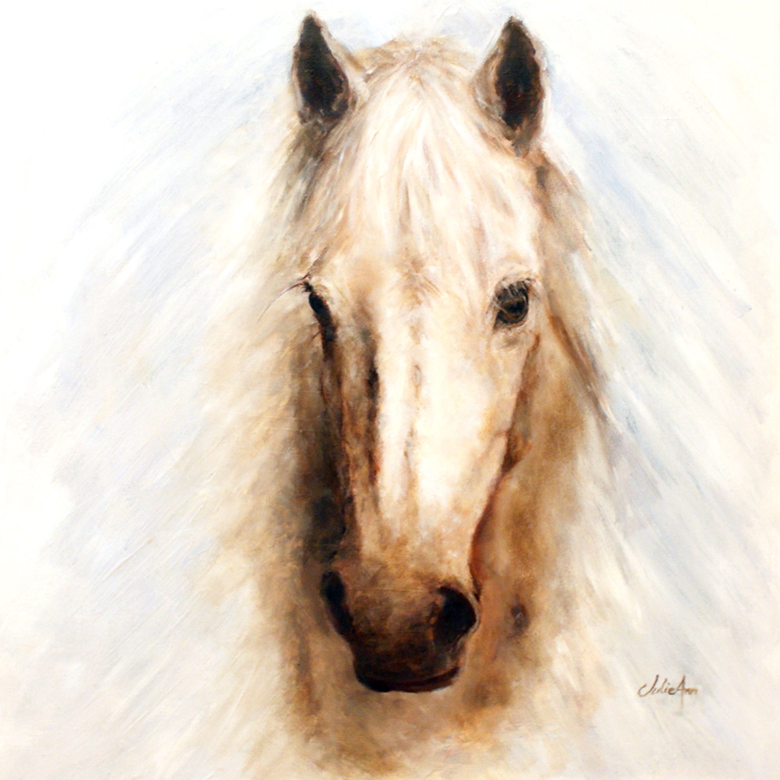Emerging White Horse Oil Painting By Julie Derby