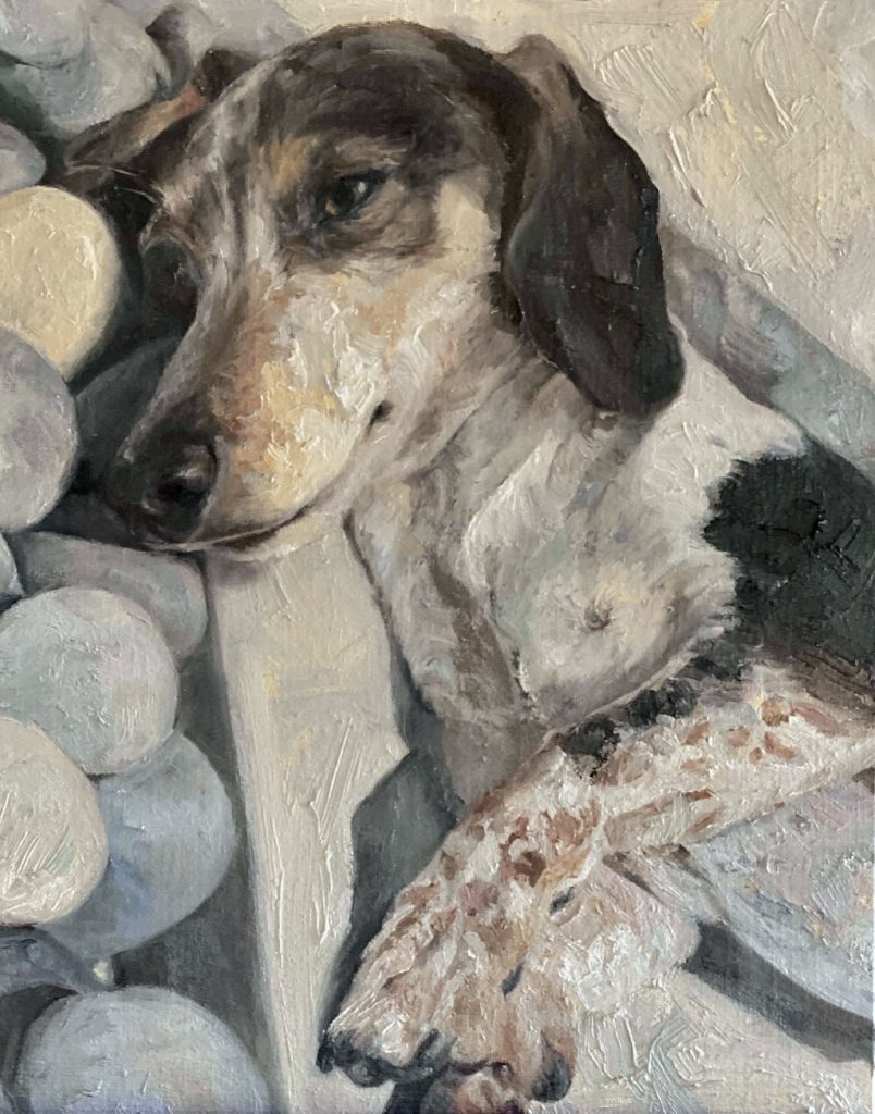 Original Oil Painting of Dachshund Auggie