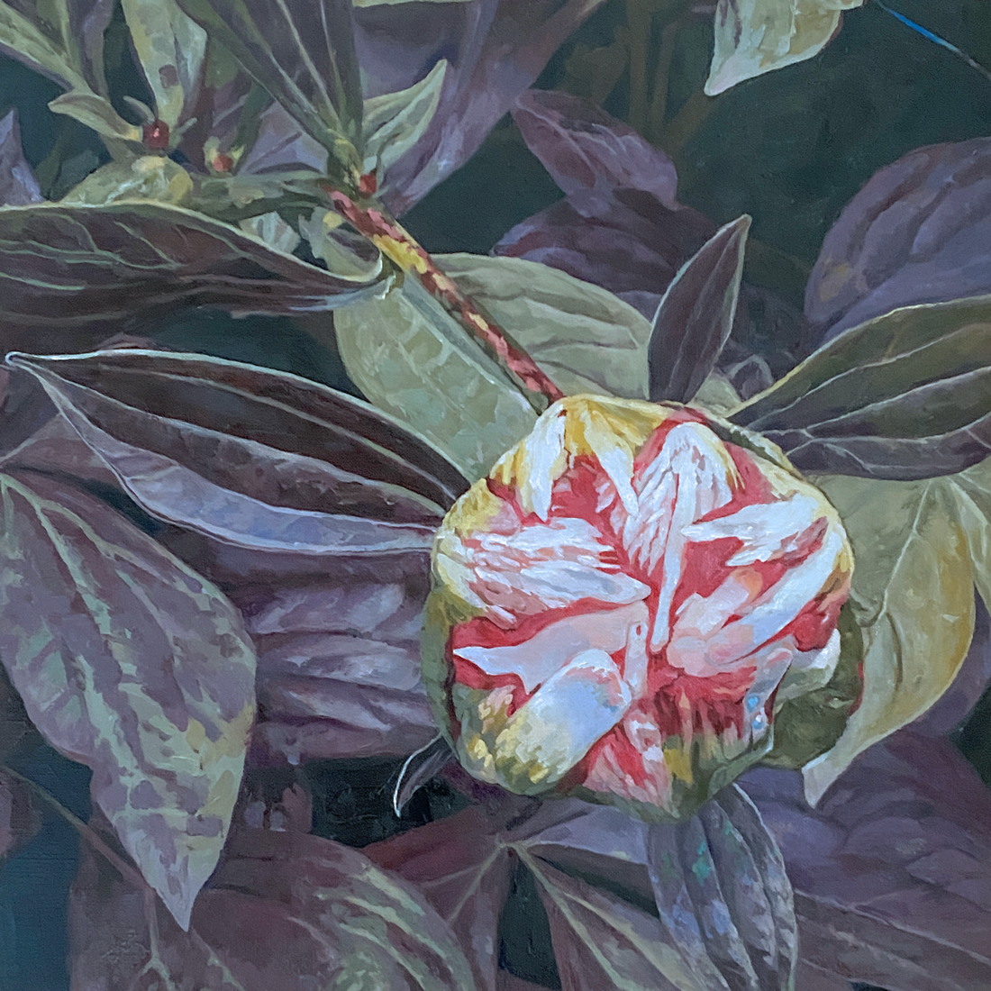 Peony Bulb Oil Painting by Julie Derby