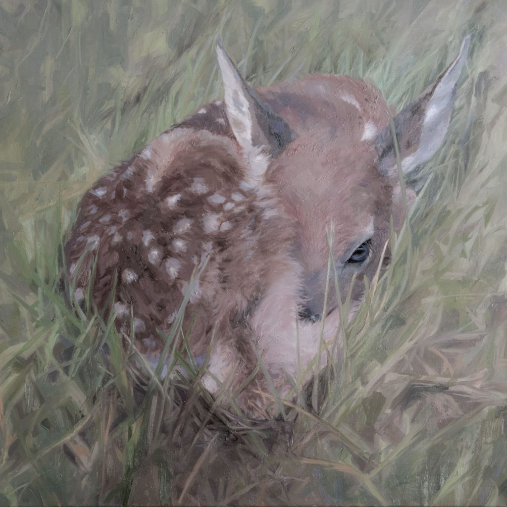 Fawn Oil Painting by Julie Derby