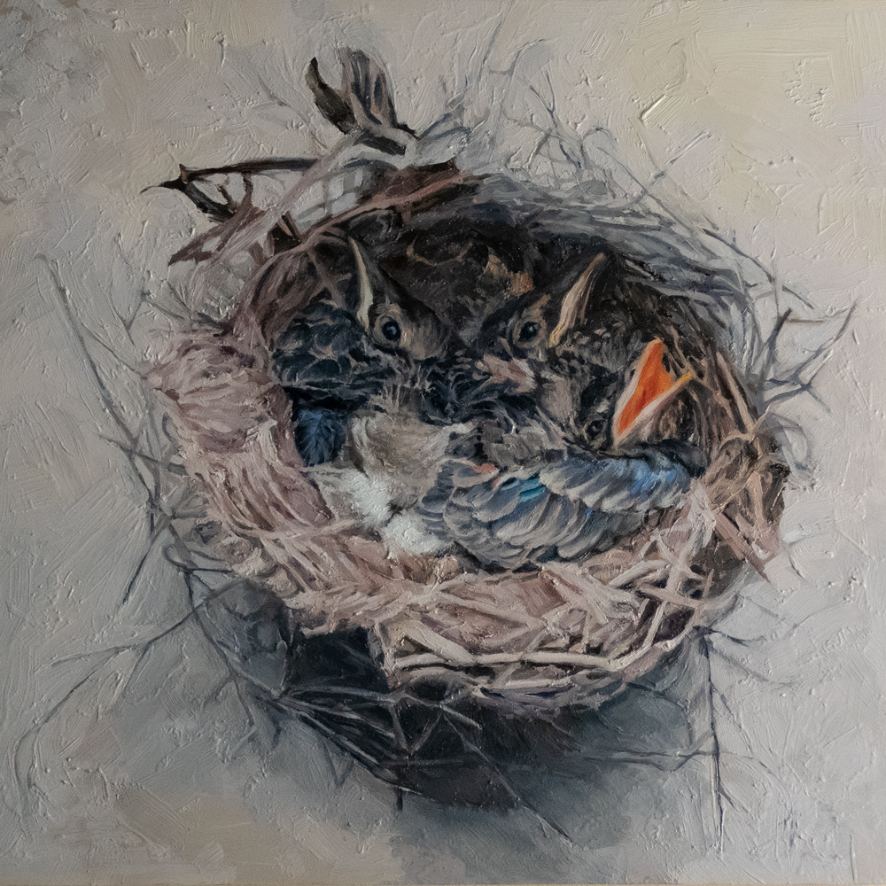 Original Oil Painting of Baby Robins by Julie Derby